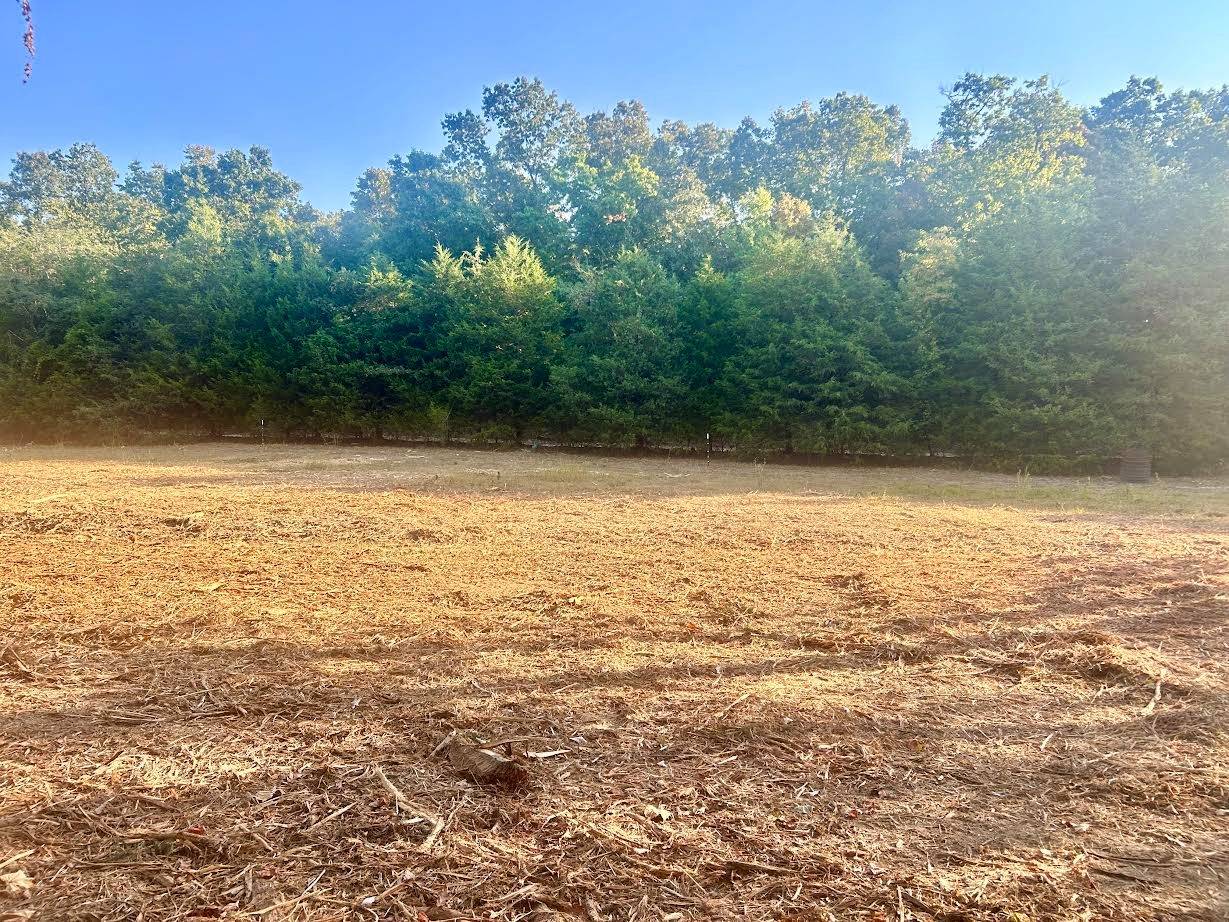 Forestry mulching work