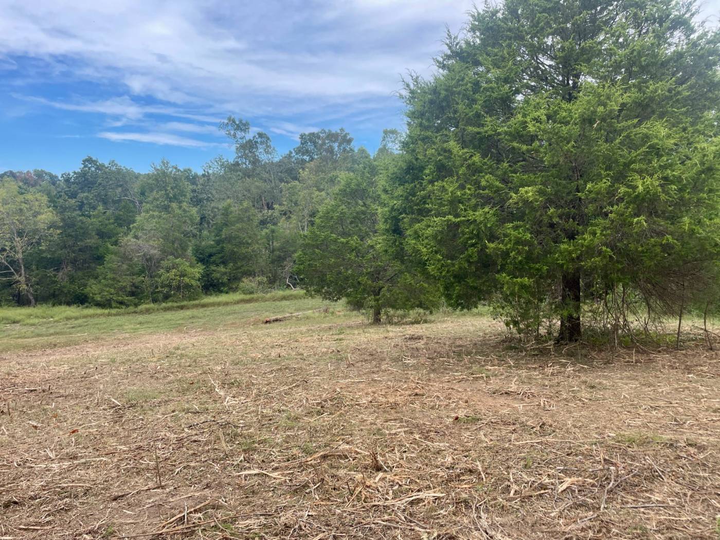Forestry mulching work