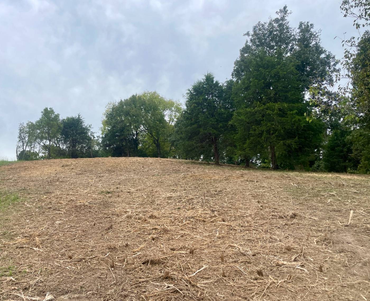 Forestry mulching work