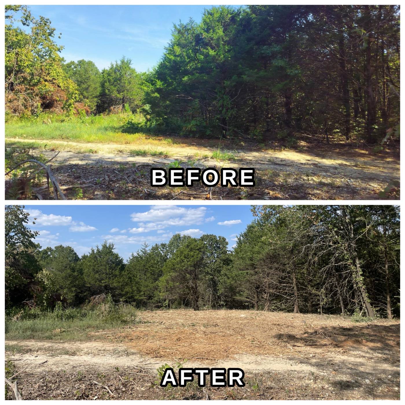 Land clearing work