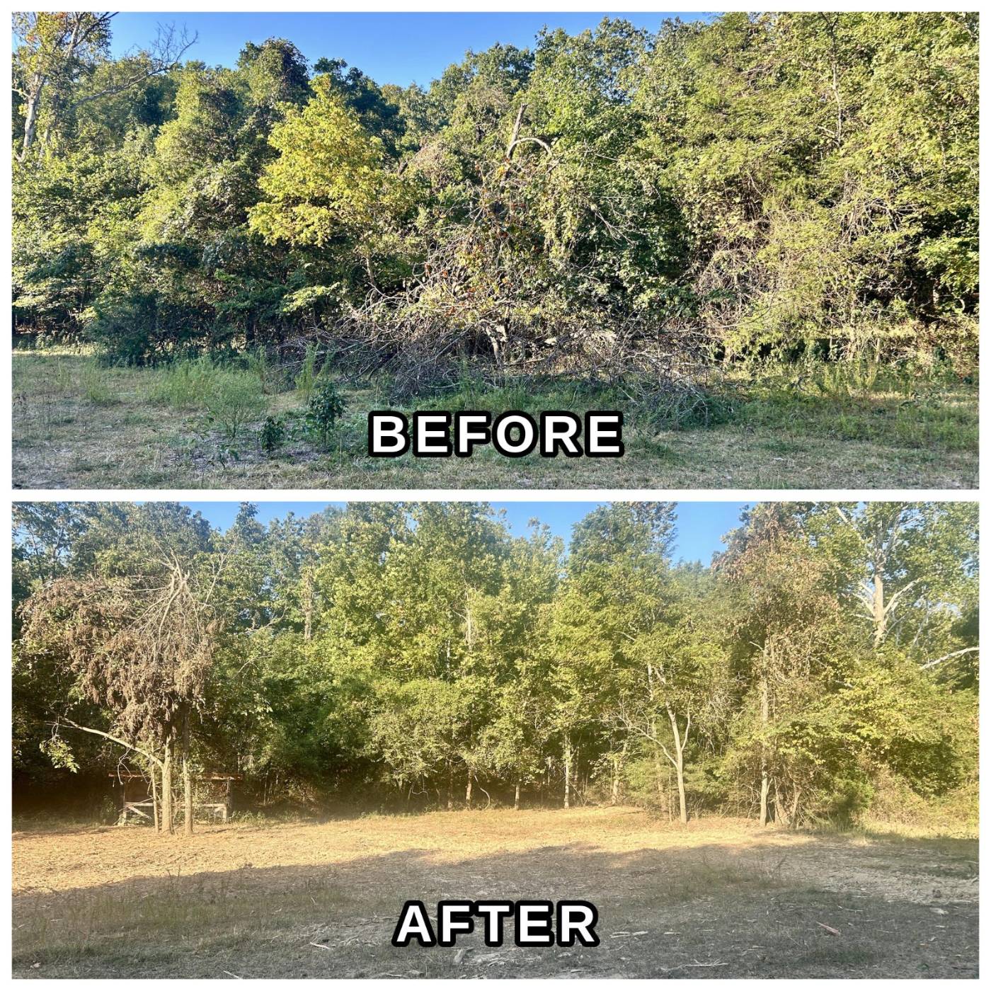 Land clearing work