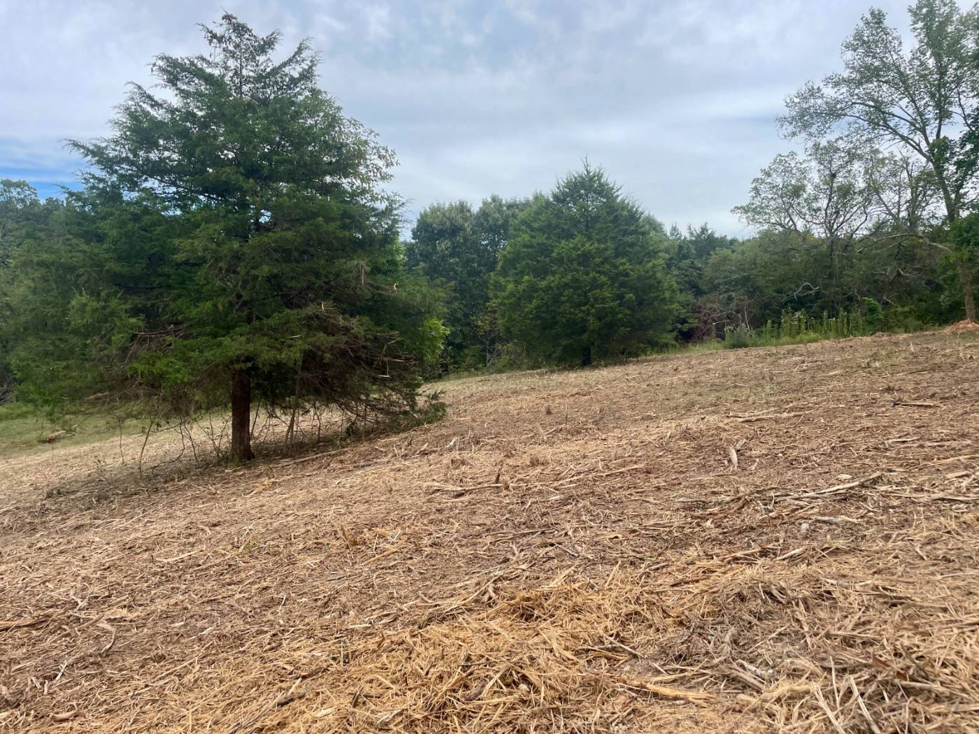 Land clearing work