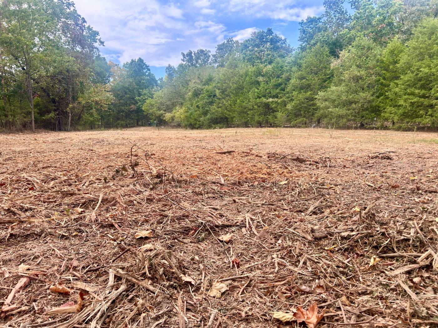 Land clearing work