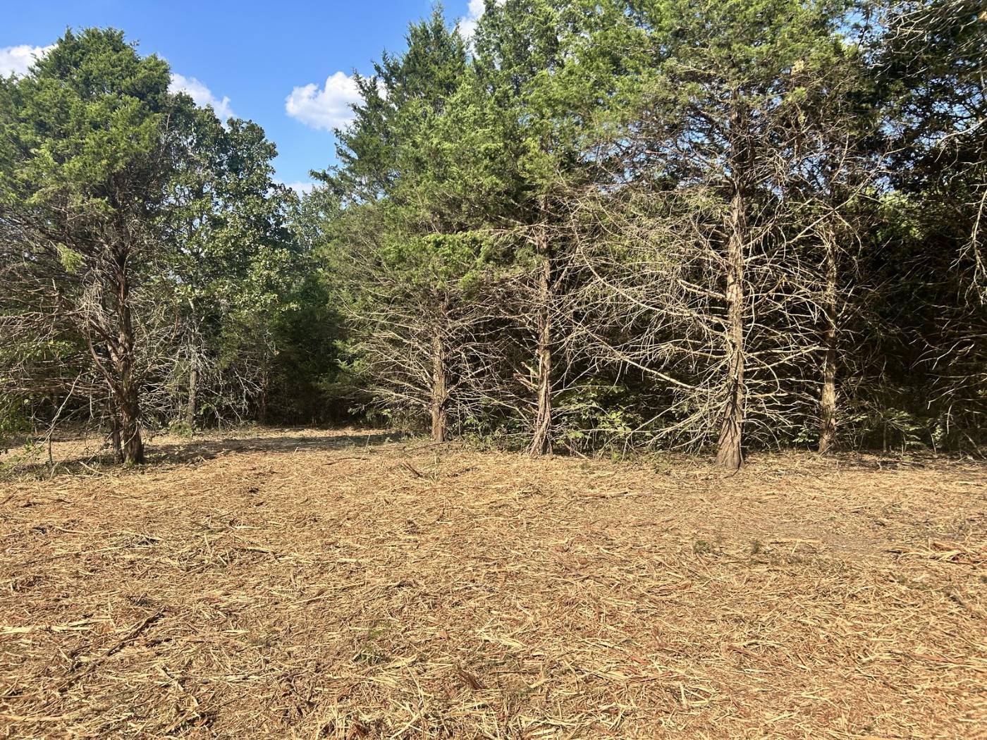 Land clearing work