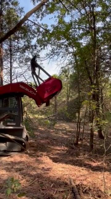 Forestry mulching video